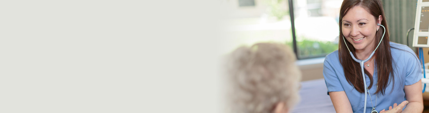 nikki-desktop-1500x395